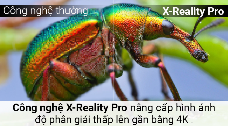 Android Tivi Sony 4K 49 inch KD-49X8500F/S