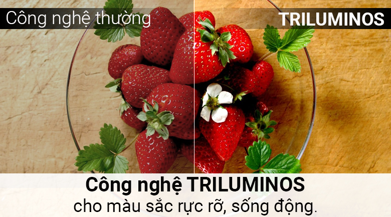 Android Tivi Sony 4K 55 inch KD-55X8500F/S - 5