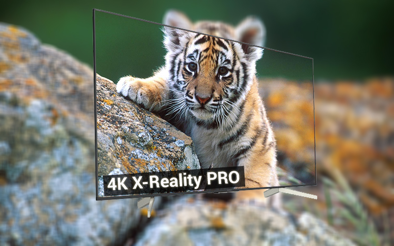 Công nghệ X-Reality Pro