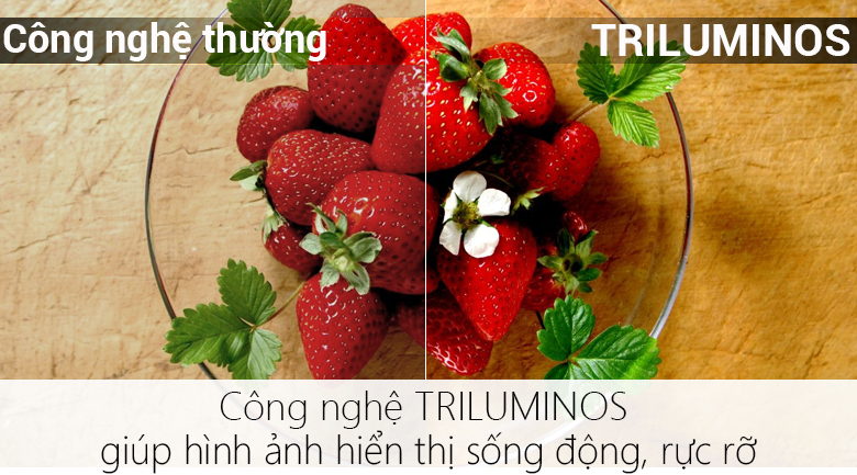 Android Tivi Sony 4K 55 inch KD-55X9000F