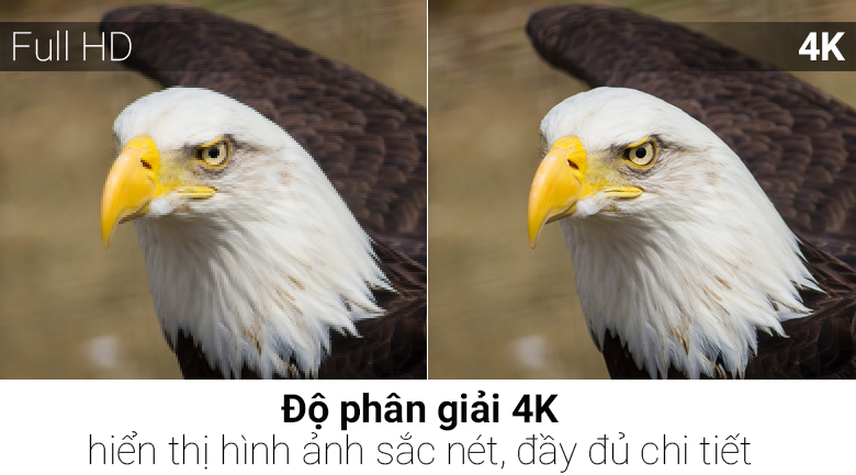 Smart Tivi Cong QLED Samsung 4K 55 inch QA55Q8CN