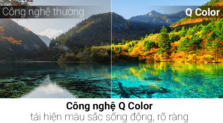 Smart Tivi Cong QLED Samsung 4K 55 inch QA55Q8CN