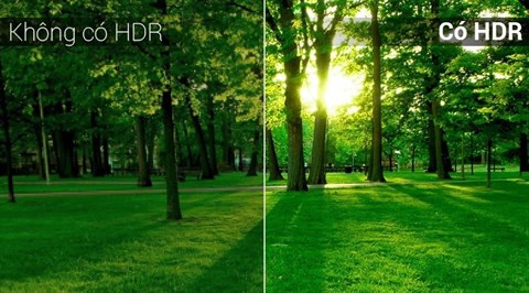 Công nghệ Q HDR Elite trên Smart Tivi QLED Samsung 75 inch QA75Q7FN