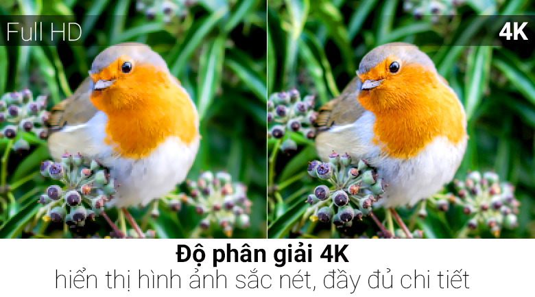 Smart Tivi QLED Samsung 4K 65 inch QA65Q7FN