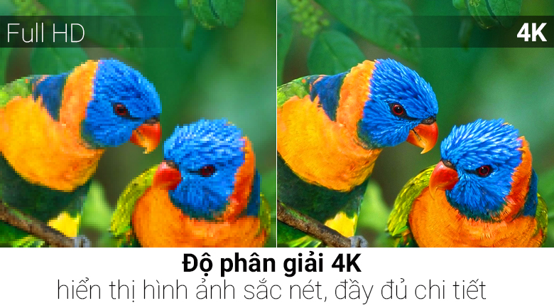 Smart Tivi QLED Samsung 4K 55 inch QA55Q7FN