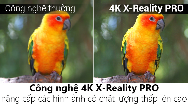 Android Tivi Sony 4K 75 inch KD-75X8500F