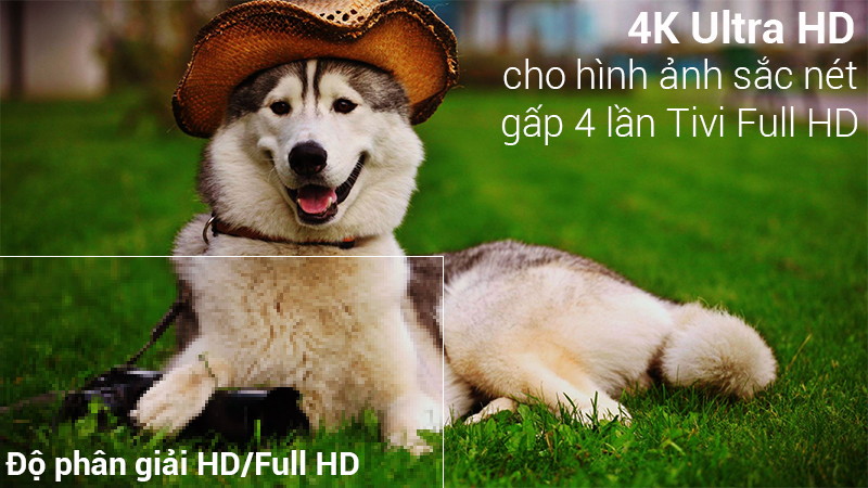 Độ phân giải 4K sắc nét trên Smart Tivi QLED Samsung 75 inch QA75Q9FN