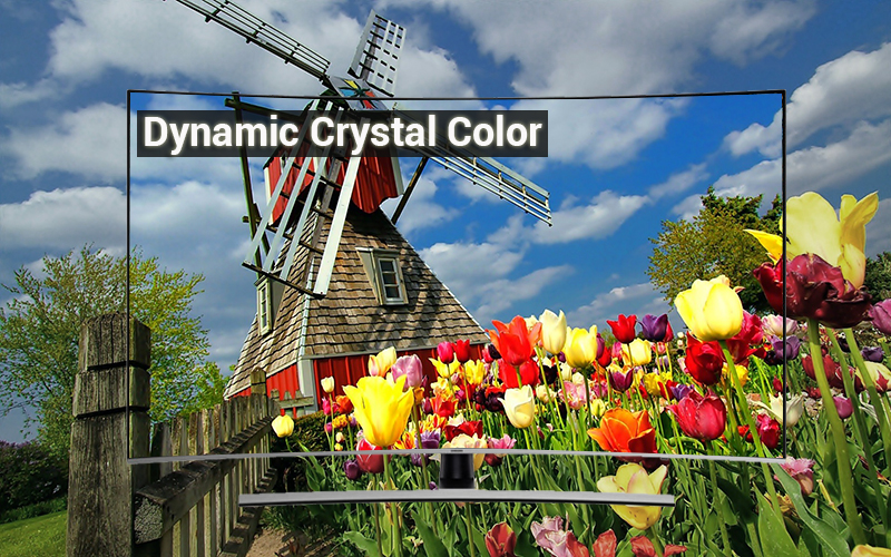Công nghệ hình ảnh Dynamic Crystal Color Smart Tivi Cong Samsung 55 inch UA55NU8500