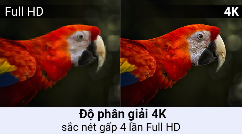 Smart Tivi Samsung 4K 65 inch UA65NU8000