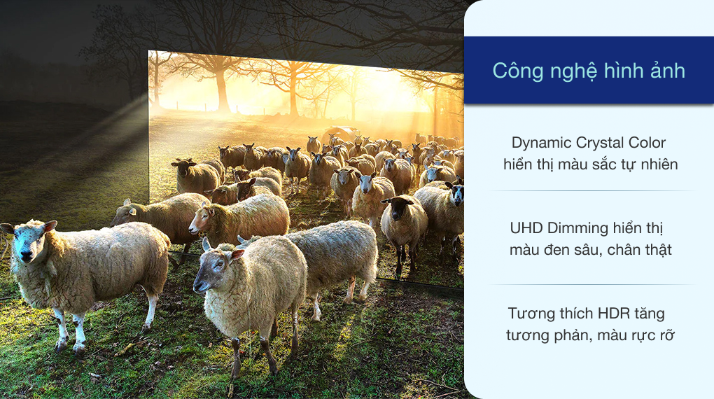 Smart Tivi Cong Samsung 4K 49 inch UA49NU7500