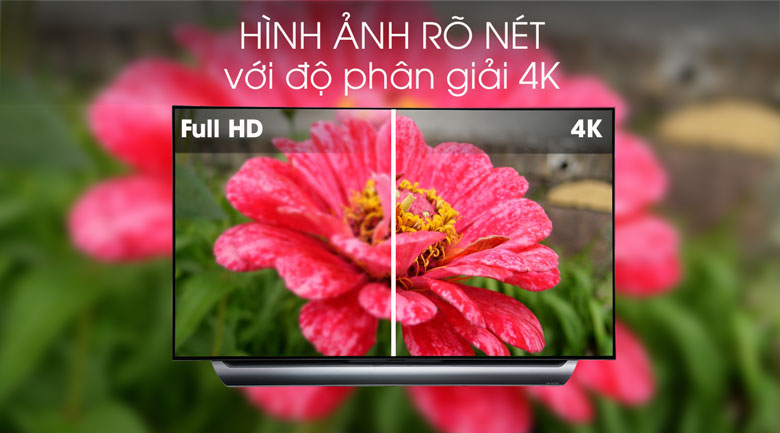 Smart Tivi OLED LG 4K 55 inch 55C8PTA