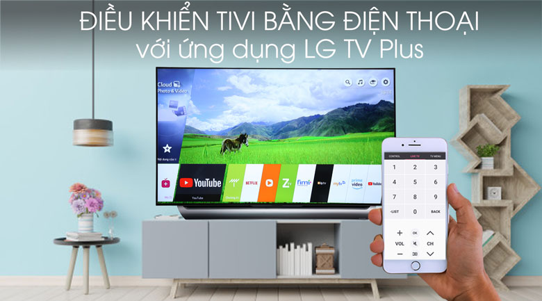 Smart Tivi OLED LG 4K 55 inch 55C8PTA