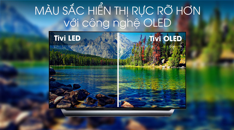 Smart Tivi OLED LG 4K 55 inch 55C8PTA