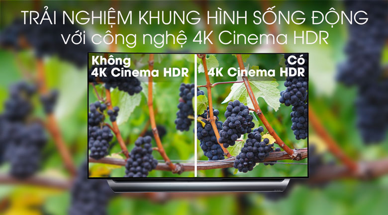 Smart Tivi OLED LG 4K 55 inch 55C8PTA