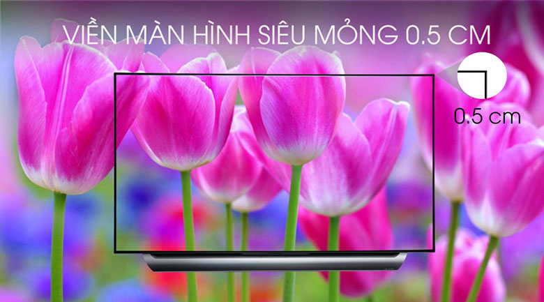 Smart Tivi OLED LG 4K 55 inch 55C8PTA