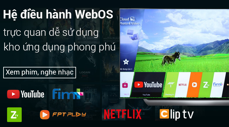 Smart Tivi OLED LG 4K 55 inch 55C8PTA