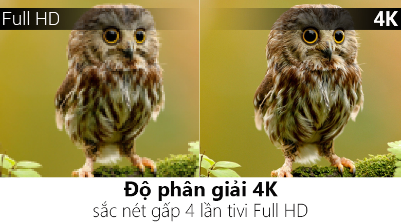 Smart Tivi NanoCell LG 4K 55 inch 55SK8000PTA - 3