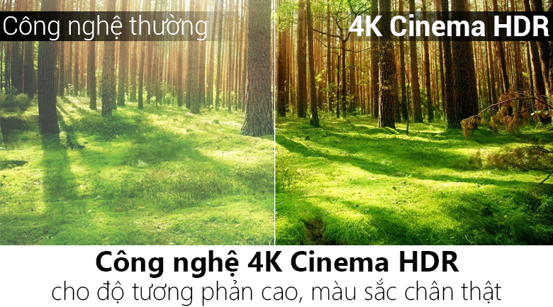 Smart Tivi NanoCell LG 4K 55 inch 55SK8000PTA - 5