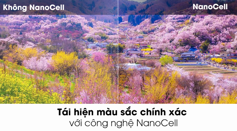 <p>&nbsp;</p>
<div id="eJOY__extension_root" class="eJOY__extension_root_class" style="all: unset;">&nbsp;</div>