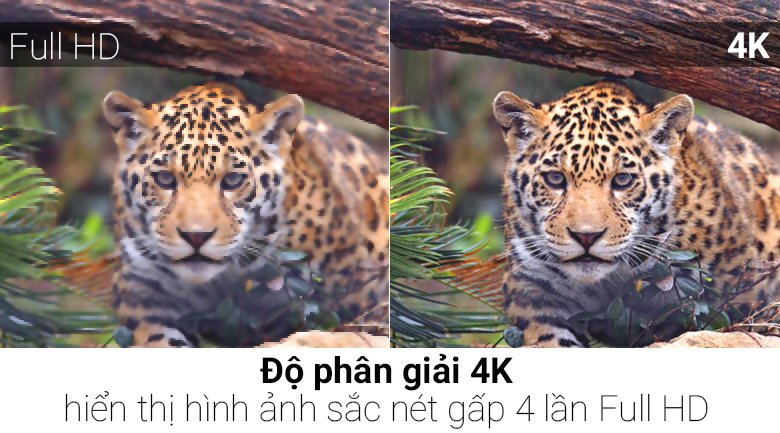 Smart Tivi NanoCell 4K 49 inch 49SK8500PTA