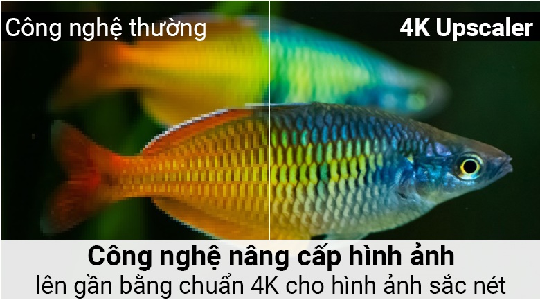 Công nghệ 4K Upscaler trên Smart Tivi LG 4K 43 inch 43UK6340PTF