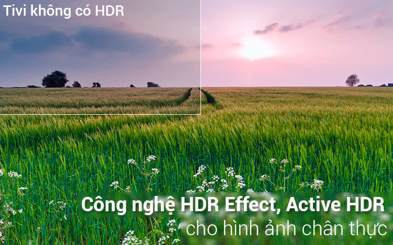 Công nghệ HDR Effect, Active HDR trên Smart Tivi LG 50 inch 50UK6540PTD