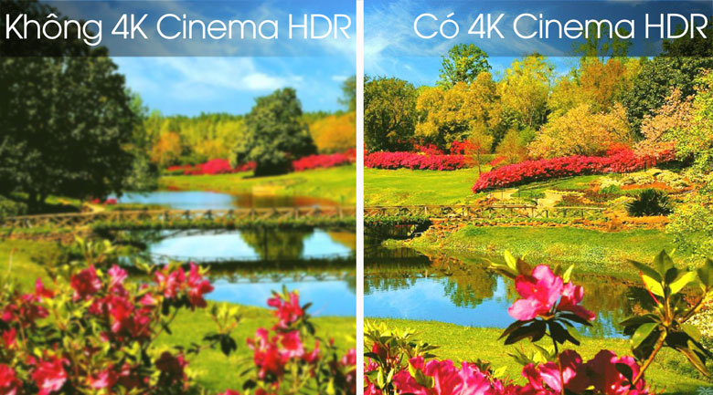 Smart Tivi OLED LG 4K 55 inch 55B8PTA - Công nghệ 4K Cinema HDR