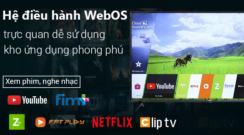 Smart Tivi LG 4K 55 inch 55UK6100PTA