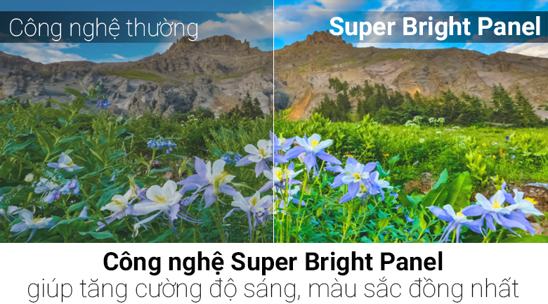 Smart Tivi Panasonic 4K 55 inch TH-55FX600V