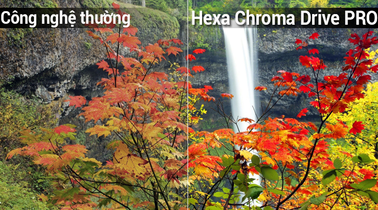công nghệ Hexa Chroma Drive PRO trên Smart Tivi Panasonic 4K 49 inch TH-49FX700V