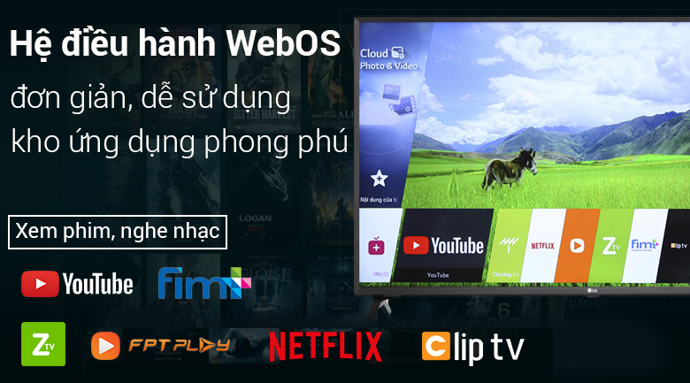 Smart Tivi LG 43 inch 43LK5400PTA