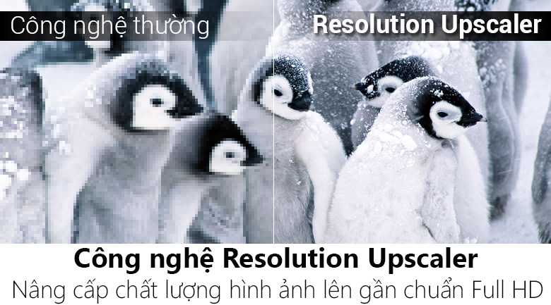 Smart Tivi LG 43 inch 43LK5400PTA