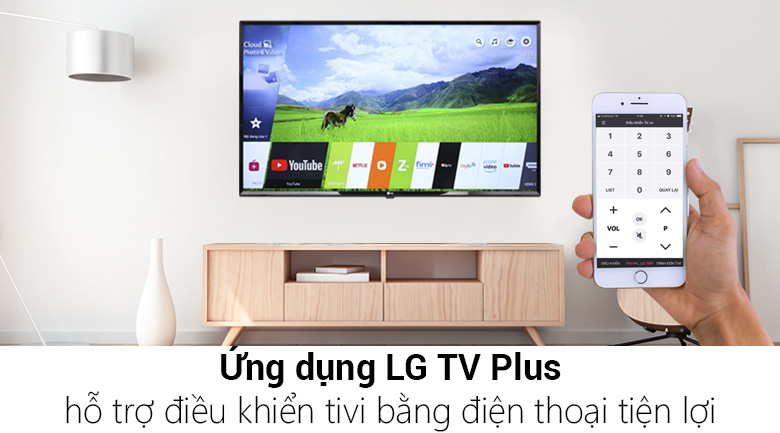 Smart Tivi LG 49 inch 49LK5700PTA