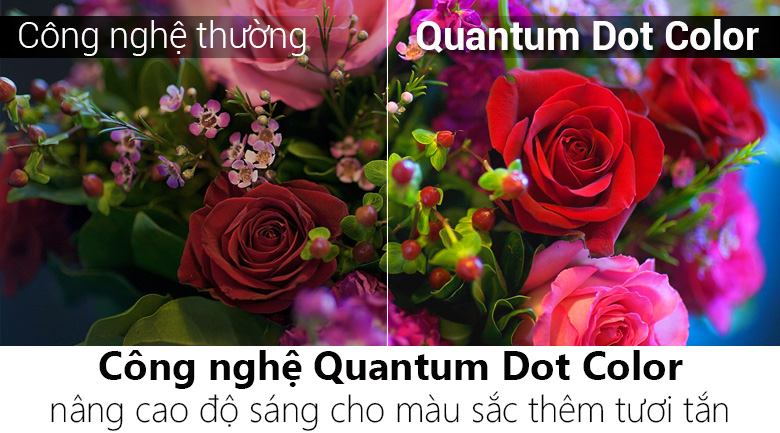 Smart Tivi QLED Samsung 4K 49 inch QA49Q6FN