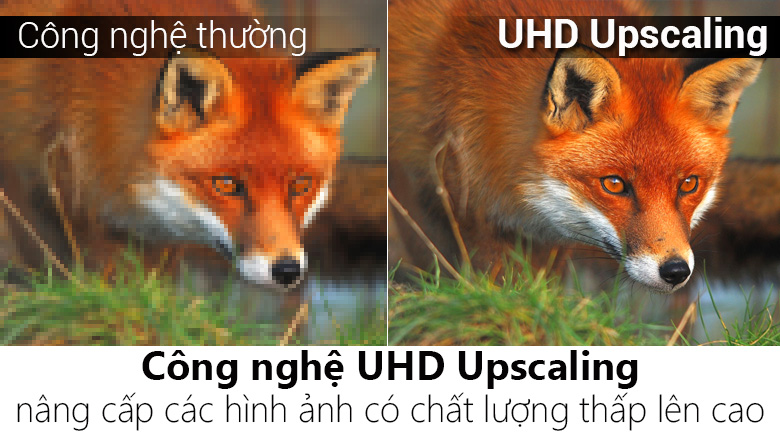 Smart Tivi QLED Samsung 4K 49 inch QA49Q6FN