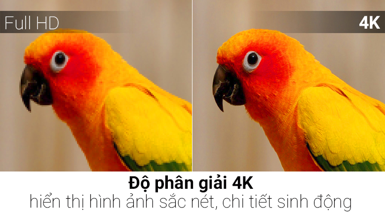 Smart Tivi QLED Samsung 4K 65 inch QA65Q6FN