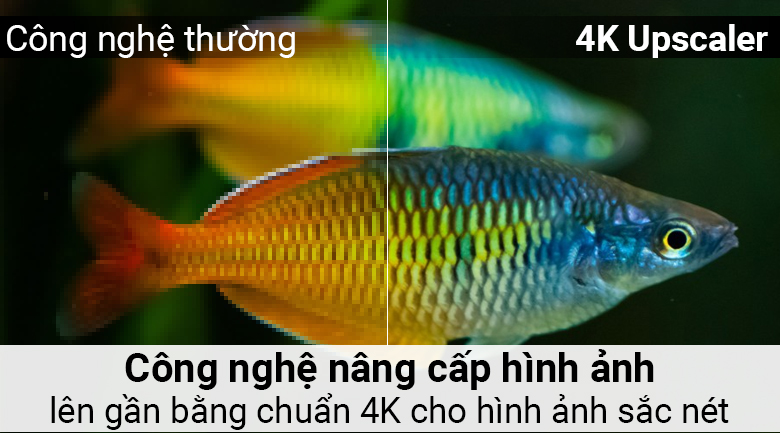 Smart Tivi LG 4K 55 inch 55UK6340PTF - 6