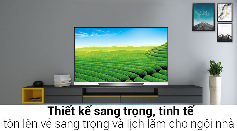 Smart Tivi OLED LG 4K 65 inch 65E8PTA - 2