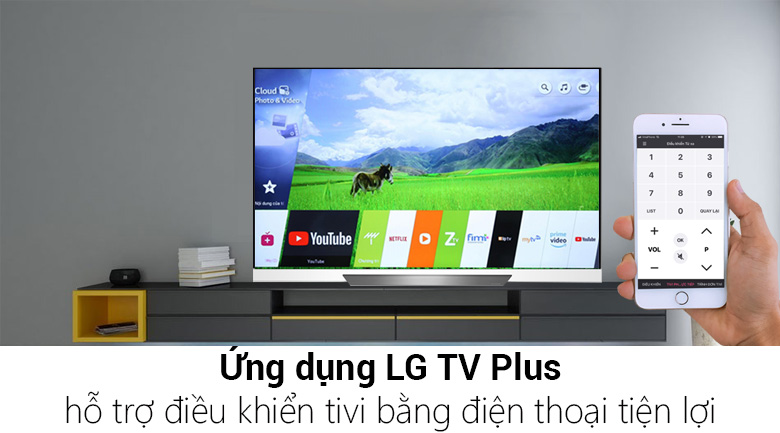 Smart Tivi OLED LG 4K 65 inch 65E8PTA - 14