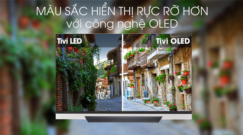 Smart Tivi OLED LG 4K 55 inch 55E8PTA