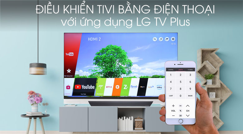 Smart Tivi OLED LG 4K 55 inch 55E8PTA