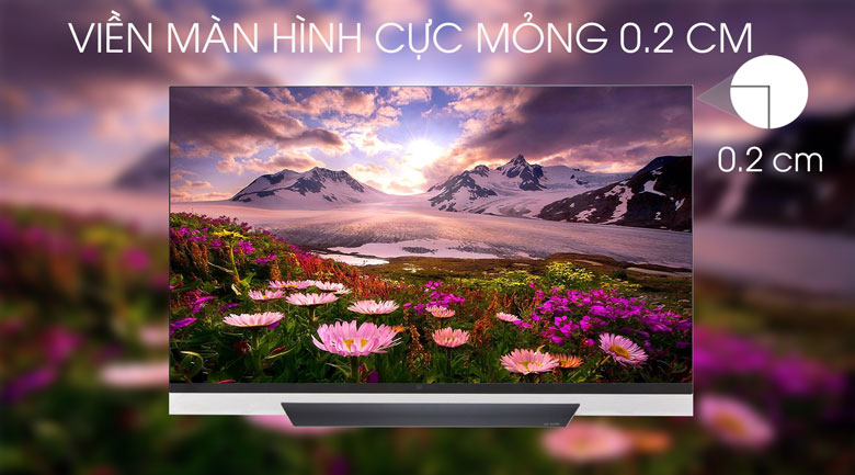 Smart Tivi OLED LG 4K 55 inch 55E8PTA