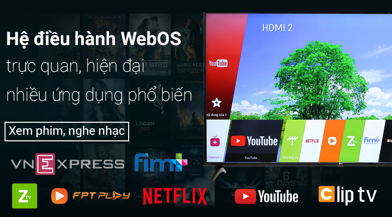 Smart Tivi LG 4K 65 inch 65UK6100PTA