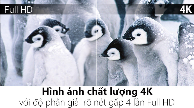 Smart Tivi LG 4K 65 inch 65UK6100PTA