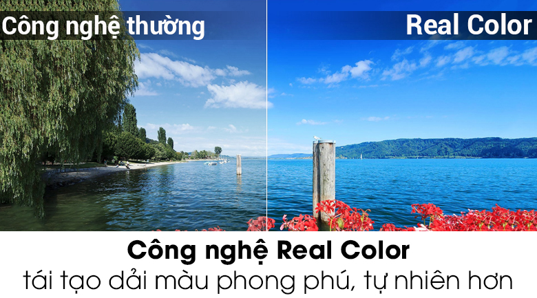 Smart Tivi Sharp 40 inch LC-40SA5500X