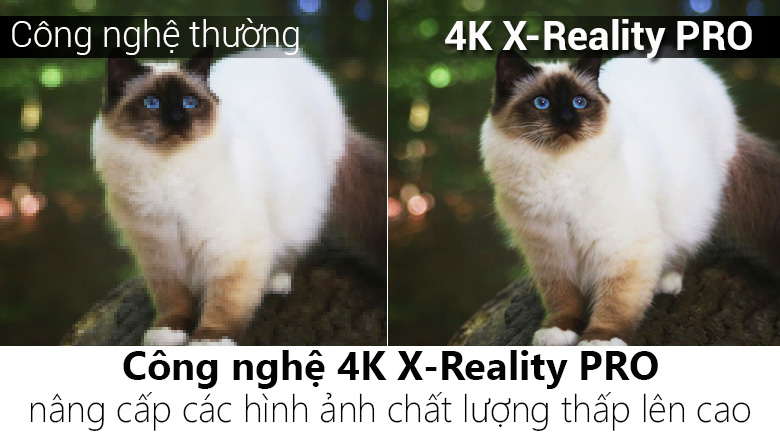 Android Tivi OLED Sony 4K 65 inch KD-65A8F