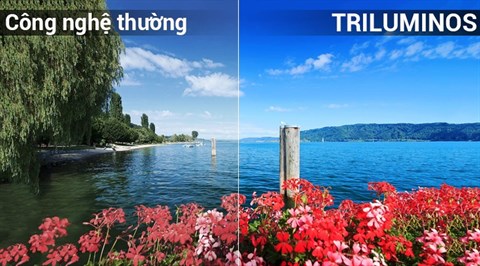 Công nghệ màn hình TRILUMINOS trên Android Tivi OLED Sony 4K 65 inch KD-65A8F