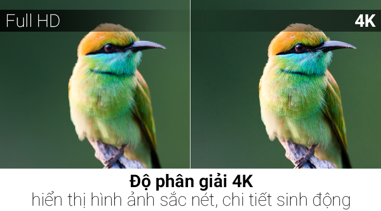 Android Tivi Sharp 4K 50 inch LC-50UA6800X