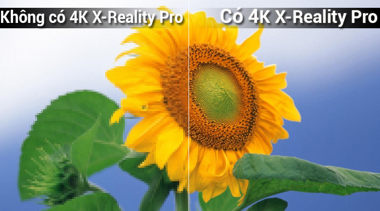 công nghệ 4K X-Reality PRO trên Smart Tivi 4K Sony 65 inch KD-65X7000F