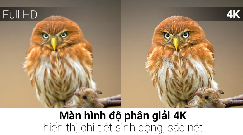 Android Tivi Sony 4K 60 inch KD-60X8300F